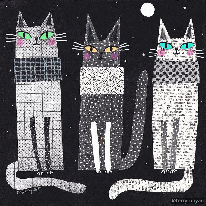 Black and Gray! Happy Caturday!-Terry Runyan Creative