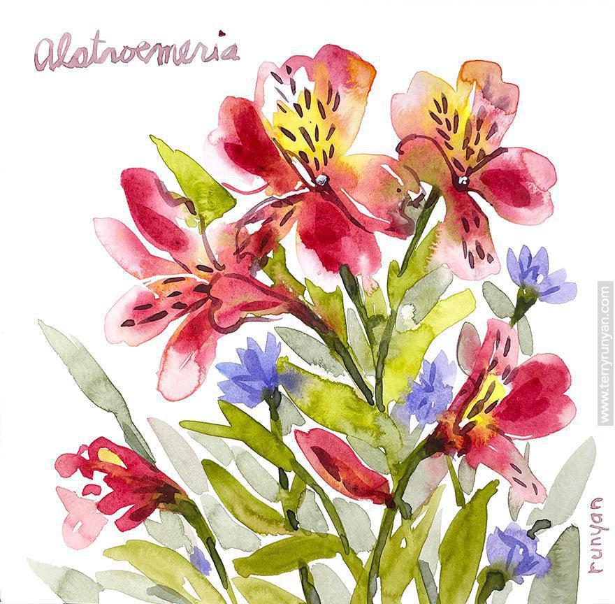 Alstroemeria!-Terry Runyan Creative